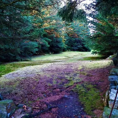 Hébergement de vacances Austefjordtunet 15 Forland