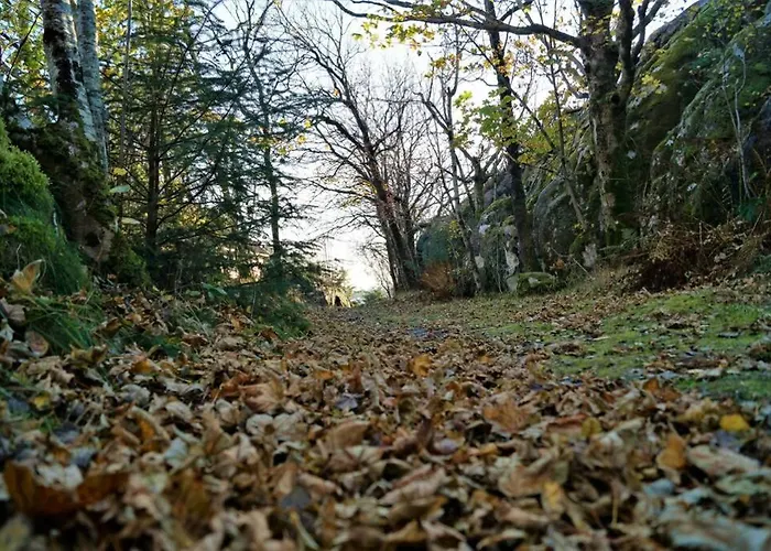 Austefjordtunet 15 * Forland